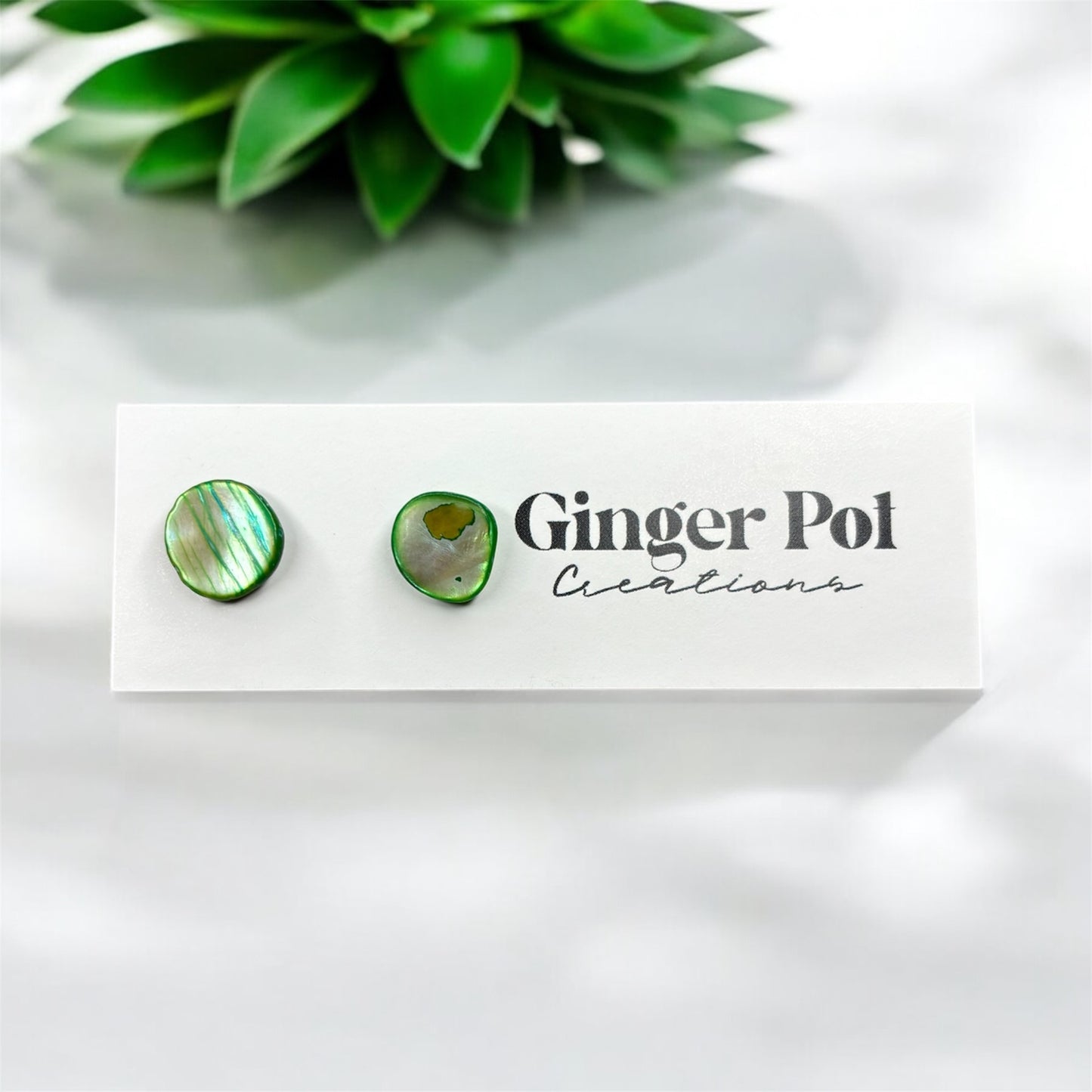 Sage Green Shell Stud | Hypoallergenic | Earrings